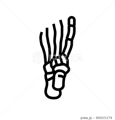 foot bone line icon vector illustration 90935379