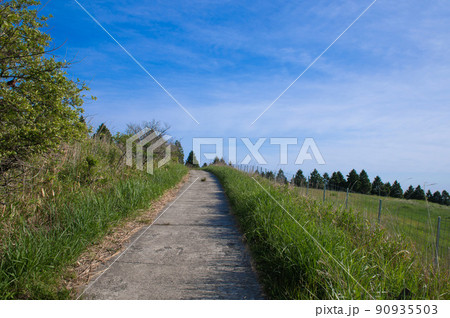 万年山登山・吉武台牧場付近の登山道 90935503