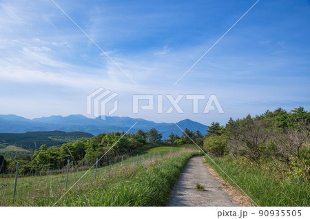 万年山登山・吉武台牧場付近の登山道 万年山登山・吉武台牧場付近の登山道 90935505
