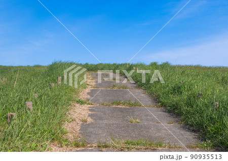 万年山登山・万年山牧場と登山道 90935513