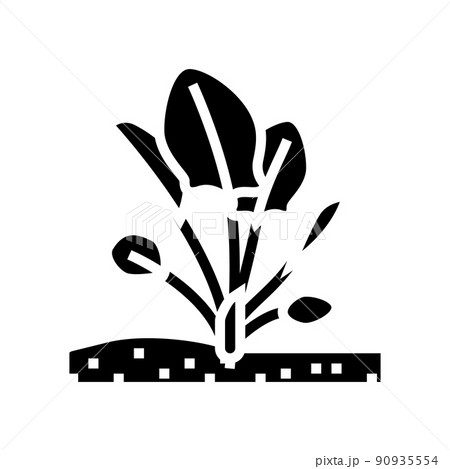 plant spinach growing glyph icon vector illustration 90935554