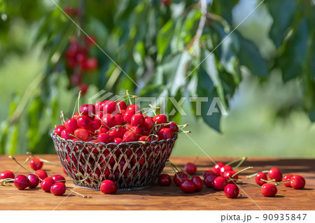 ripe cherries in basket on wooden table outdoors ripe cherries in basket on wooden table outdoors 90935847