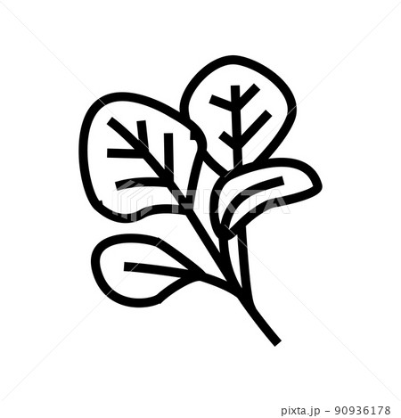 red spinach line icon vector illustration red spinach line icon vector illustration 90936178