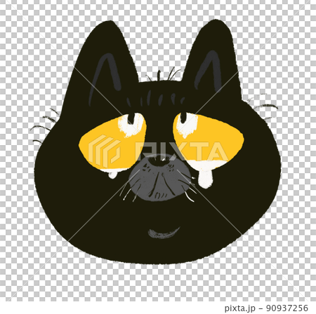 Ururun black kitten Ururun black kitten 90937256