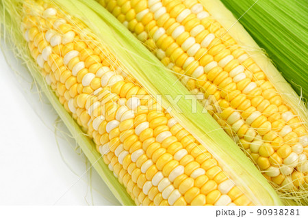 とうもろこし（ミルフィーユ） 90938281