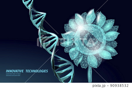 GMO sunflower gene modified plant. Science chemistry biology genetics engineering oil organic eco food technology 3D render banner vector illustration GMO sunflower gene modified plant. Science chemistry biology genetics engineering oil organic eco food technology 3D render banner vector illustration 90938532