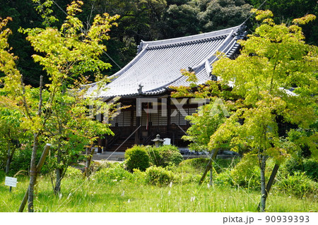 京都・山城・観音寺 京都・山城・観音寺 90939393