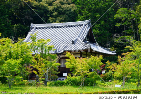 京都・山城・観音寺 90939394