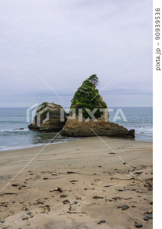 茨城県日立市　東滑川海浜緑地のグミ島 90939536