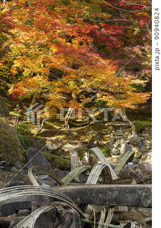 秋の尾関山公園 90940824