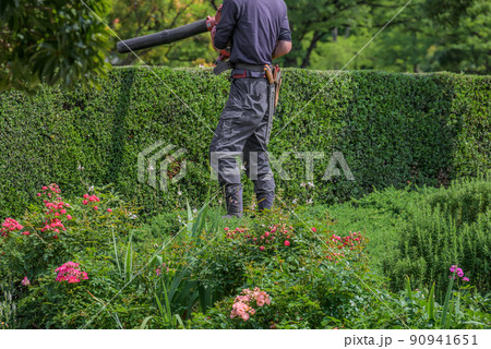 ブロワによる生垣と花壇の手入れ 90941651