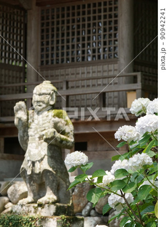 鷹栖つり橋公園のアジサイ 鷹栖つり橋公園のアジサイ 90942241
