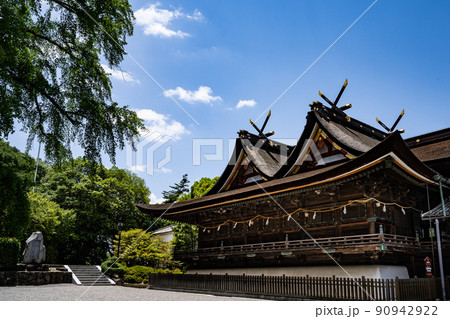 吉備津神社 本殿・拝殿 大銀杏と一緒に 吉備津神社 本殿・拝殿 大銀杏と一緒に 90942922