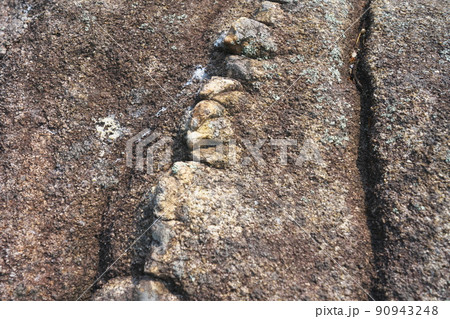笠岡諸島最大の島・北木島　秋葉山山上の花こう岩のゴジラの背中のような岩肌　岡山県笠岡市 90943248