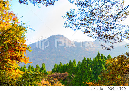 くじゅう連山「秋晴れ紅葉風景」大分県竹田市 くじゅう連山「秋晴れ紅葉風景」大分県竹田市 90944500