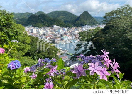 紫陽花 90946636