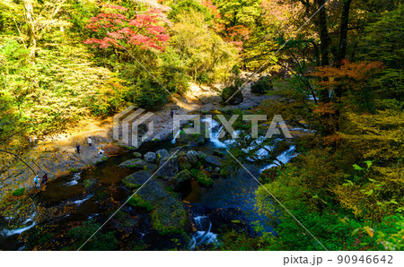 菊池渓谷「秋の紅葉風景」路上から観た渓谷風景の写真素材 [90946642] - PIXTA