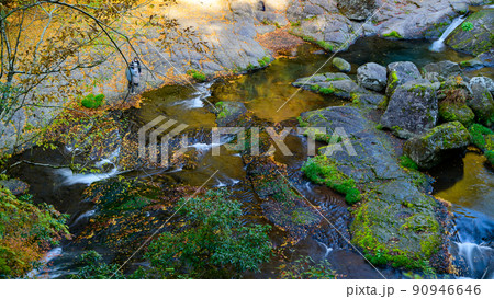 菊池渓谷「秋の紅葉風景」路上から観た渓谷の水流と岩・観光客 90946646