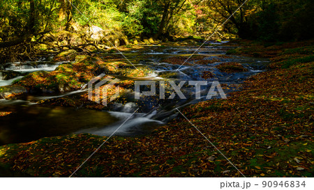 菊池渓谷「秋の紅葉風景」渓谷・落葉・枯葉・水流風景 菊池渓谷「秋の紅葉風景」渓谷・落葉・枯葉・水流風景 90946834