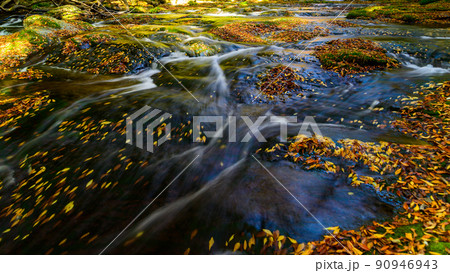 菊池渓谷「秋の紅葉風景」渓谷上流・水流と落葉風景 90946943