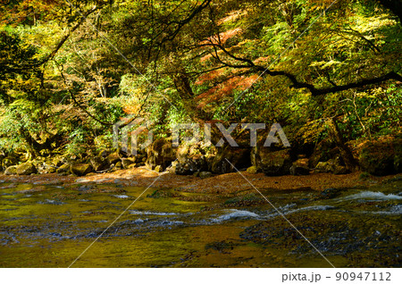 菊池渓谷「秋の紅葉風景」渓谷上流・水流と落葉風景 90947112