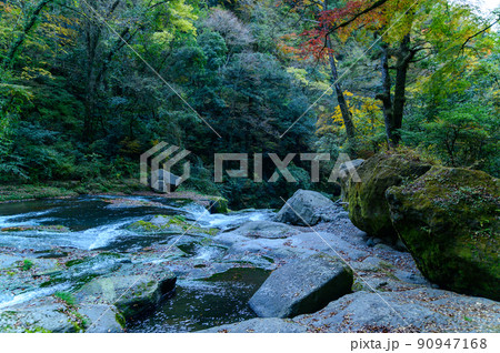 菊池渓谷「秋の紅葉風景」渓谷の紅葉景色・水流風景 菊池渓谷「秋の紅葉風景」渓谷の紅葉景色・水流風景 90947168