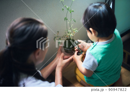 苔玉に水を与える幼児 90947822