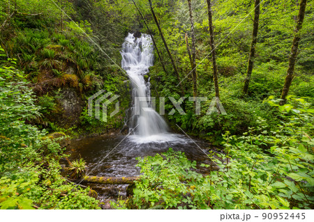 Waterfall in Canada 90952445
