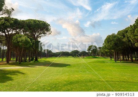 Panoramic view of beautiful golf course with pines on sunny day. Golf field with fairway, lake and pine-trees Panoramic view of beautiful golf course with pines on sunny day. Golf field with fairway, lake and pine-trees 90954513