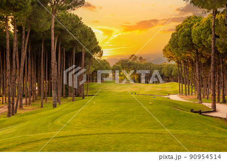 Tee box area at golf course at sunset with beautiful sky. Scenic panoramic view of golf fairway. Golf field with pines Tee box area at golf course at sunset with beautiful sky. Scenic panoramic view of golf fairway. Golf field with pines 90954514