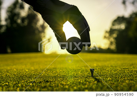 Golfer wearing glove placing golf ball on a tee at golf course Golfer wearing glove placing golf ball on a tee at golf course 90954590