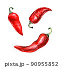 Red hot chili pepper, whole pods, set. Hand drawn watercolor illustration isolated on white background 90955852