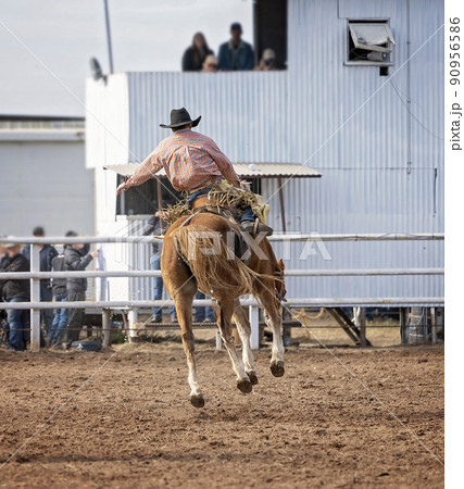 Saddle Bronco Riding At Country Rodeo 90956586