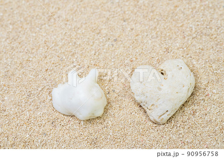 砂浜のピース貝とハートのサンゴ石 90956758