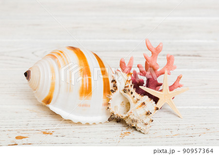 Beach seashells on colored background. Mock up with copy space 90957364
