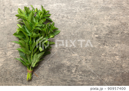 Fresh mint bunch on colored table. Top view with copy space 90957400