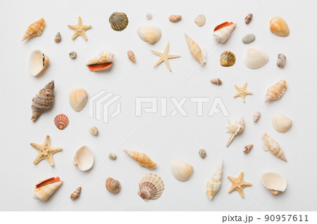 Summer time concept Flat lay composition with beautiful starfish and sea shells on colored table, top view with copy space for text Summer time concept Flat lay composition with beautiful starfish and sea shells on colored table, top view with copy space for text 90957611