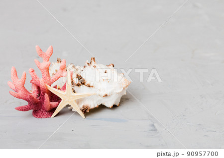 Beach seashells on colored background. Mock up with copy space 90957700