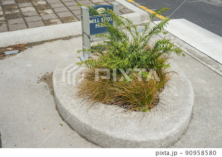 ミル・エンズ公園 90958580