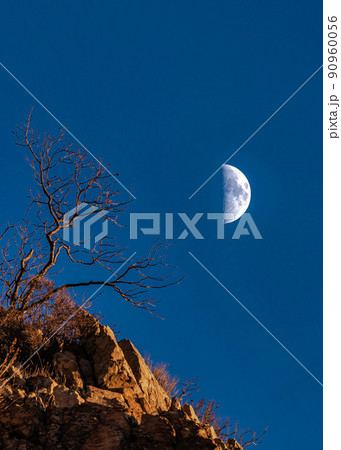 Vertical Half moon and its craters against the midnight blue sky at Provo in Utah 90960056