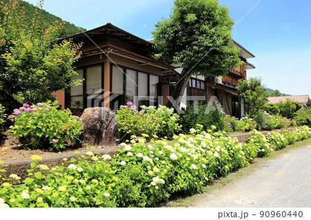 池田山山麓散策(阿梨耶山弓削寺)・95(岐阜県揖斐郡池田町) 池田山山麓散策(阿梨耶山弓削寺)・95(岐阜県揖斐郡池田町) 90960440
