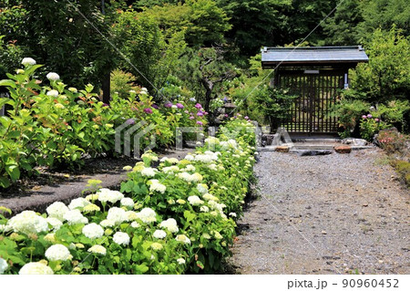 池田山山麓散策（阿梨耶山弓削寺）・105（岐阜県揖斐郡池田町） 90960452