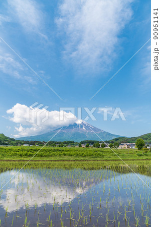 「山梨県」 富士吉田農村公園　水田に映る逆さ富士 90961141