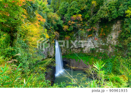 下城の滝「秋の紅葉景色」観光名所・小国町 下城の滝「秋の紅葉景色」観光名所・小国町 90961935