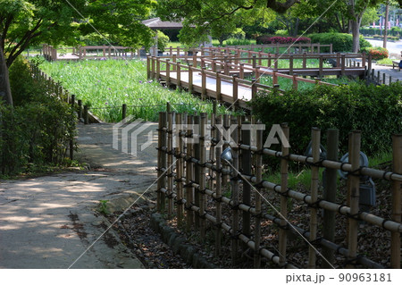 緑に囲まれた福岡城跡。石垣や塀などの歴史的建造物。福岡城は舞鶴公園と大濠公園にある。日本、福岡県福岡 90963181