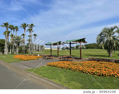 辻堂海浜公園　神奈川県藤沢市辻堂西海岸 90964206