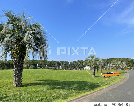 辻堂海浜公園 神奈川県藤沢市辻堂西海岸 辻堂海浜公園 神奈川県藤沢市辻堂西海岸 90964207