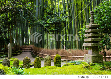 神奈川県鎌倉 報国寺 ~竹の庭~ 神奈川県鎌倉 報国寺 ~竹の庭~ 90964211