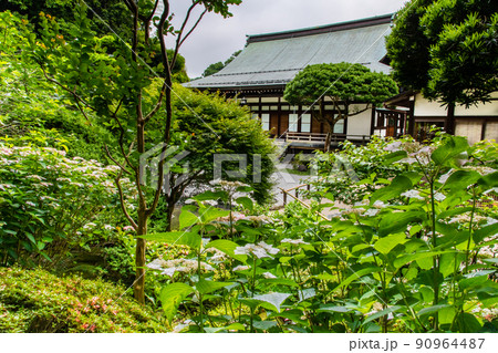 神奈川県鎌倉　報国寺　～庭園と本堂～ 90964487