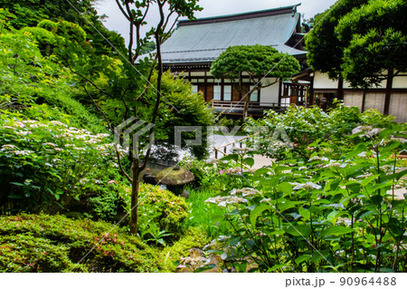 神奈川県鎌倉　報国寺　～庭園と本堂～ 90964488